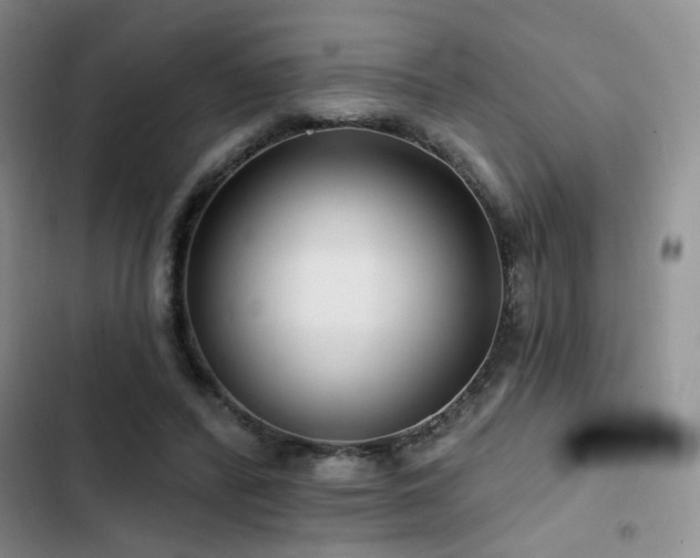 X0000102790400200808181305