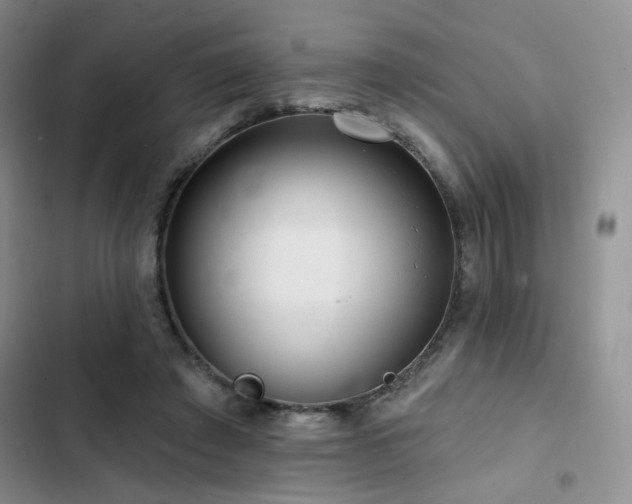 X0000102790401200808181305