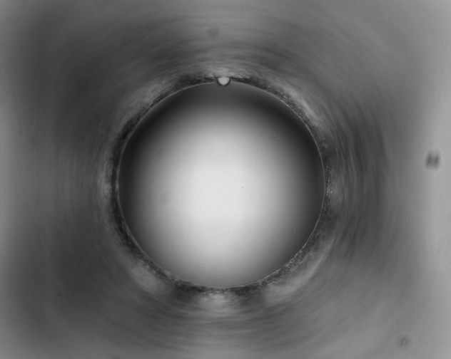 X0000102790402200808181305