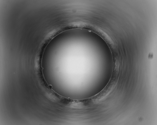 X0000102790403200808181305