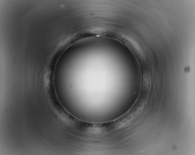 X0000102790404200808181305