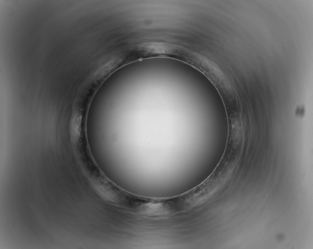 X0000102790406200808181305