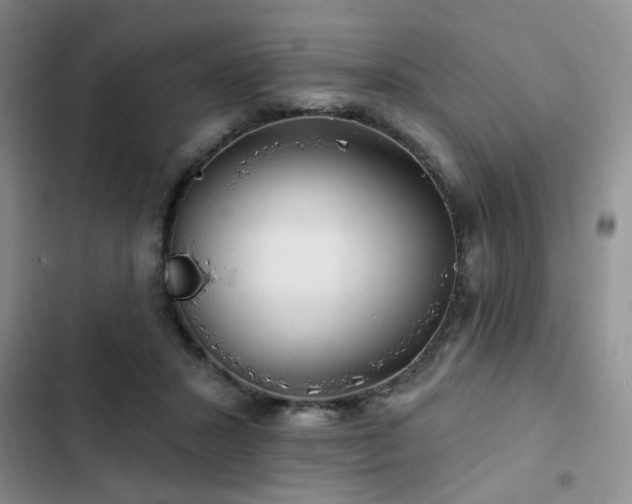 X0000102790407200808181305
