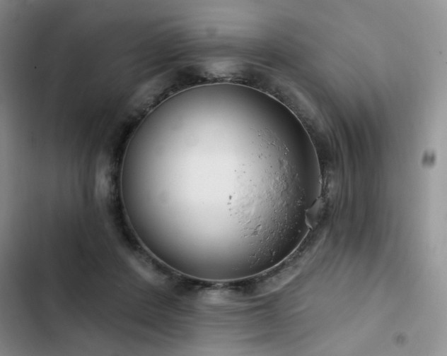 X0000102790408200808181305