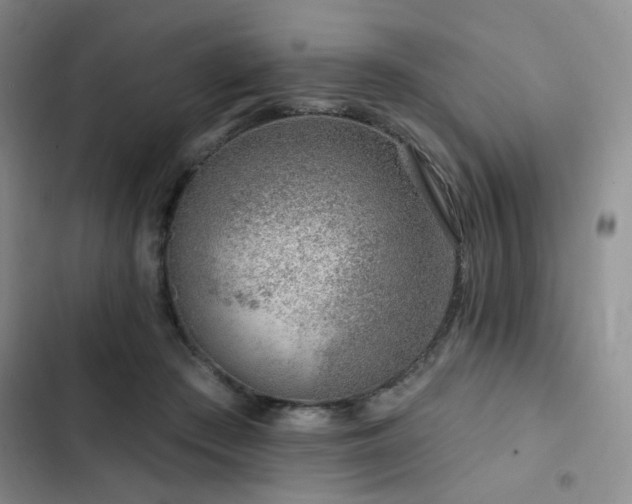 X0000102790409200808181305