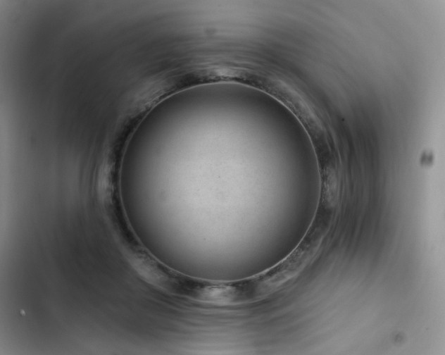X0000102790410200808181305