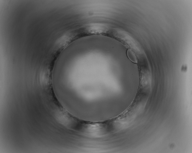 X0000102790411200808181305