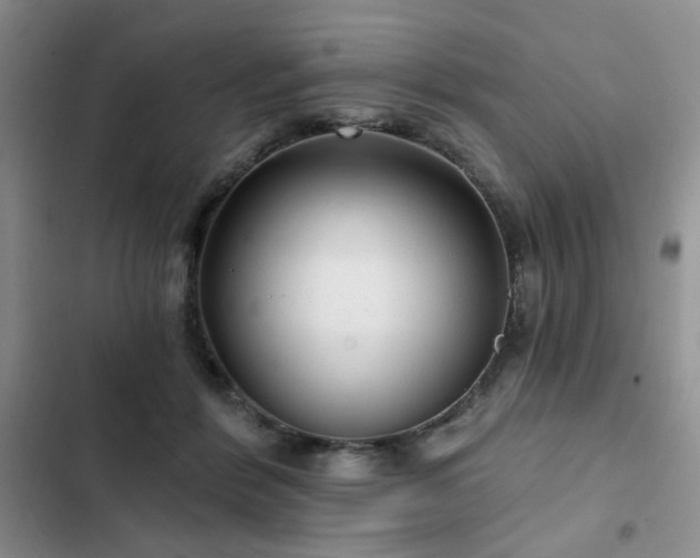 X0000102790412200808181305