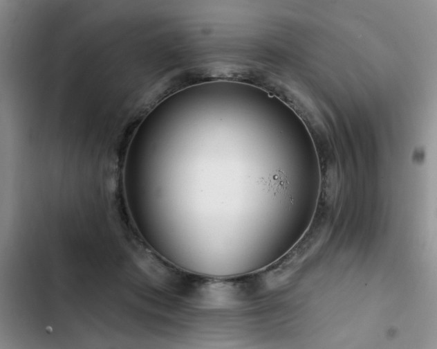 X0000102790413200808181305
