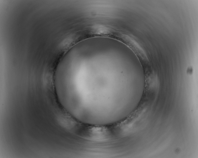 X0000102790415200808181305