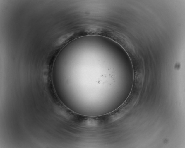 X0000102790416200808181305