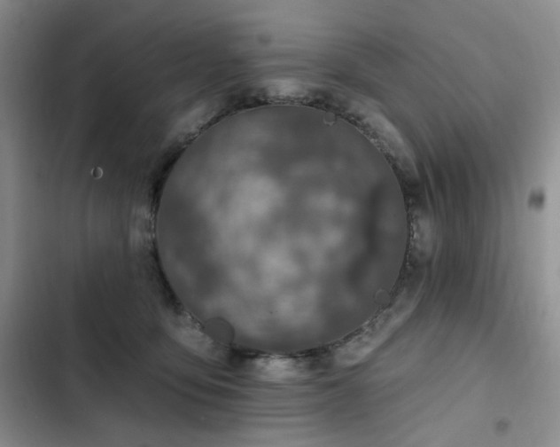X0000102790419200808181305