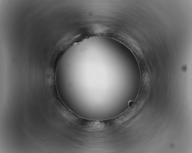 X0000102790421200808181305