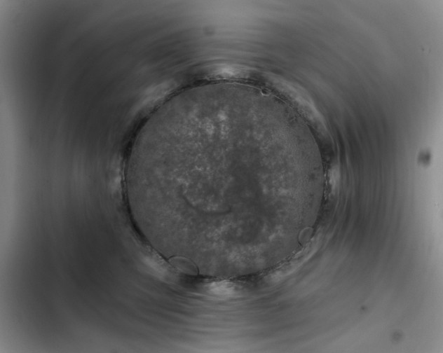X0000102790423200808181305