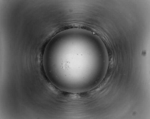 X0000102790424200808181304