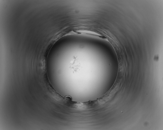 X0000102790425200808181304