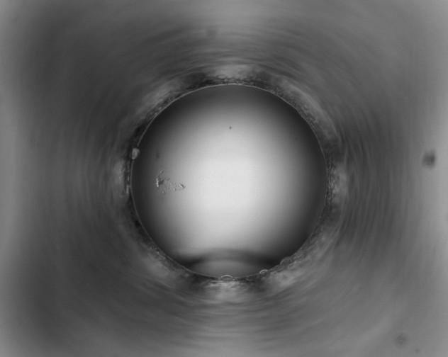 X0000102790428200808181304