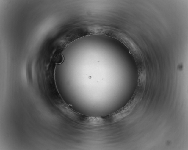 X0000102790429200808181304