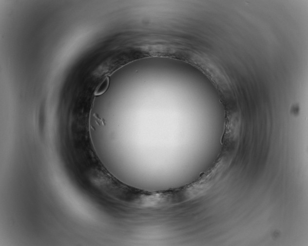 X0000102790430200808181304
