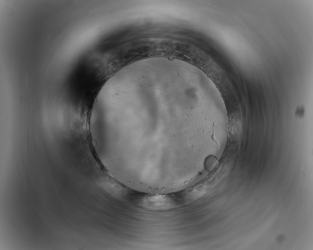 X0000102790431200808181304
