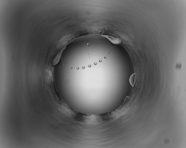 X0000102790432200808181304