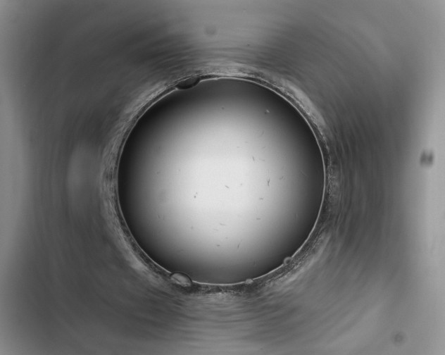 X0000102790433200808181304