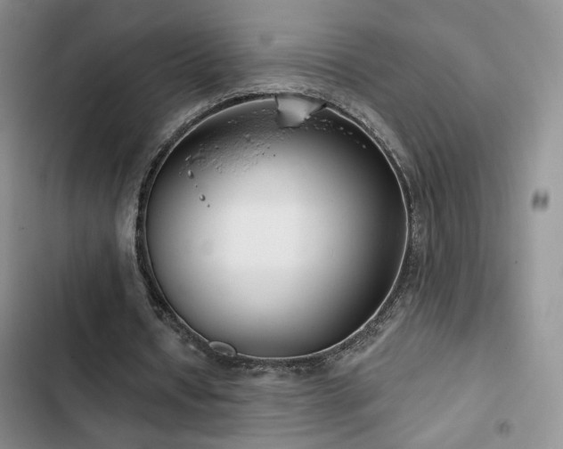 X0000102790434200808181304