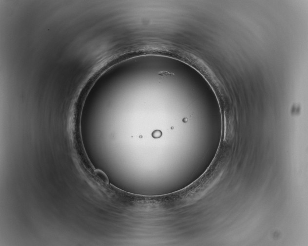 X0000102790435200808181304
