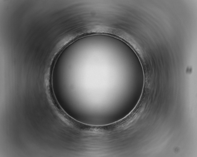 X0000102790437200808181304