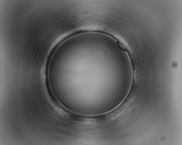 X0000102790438200808181304