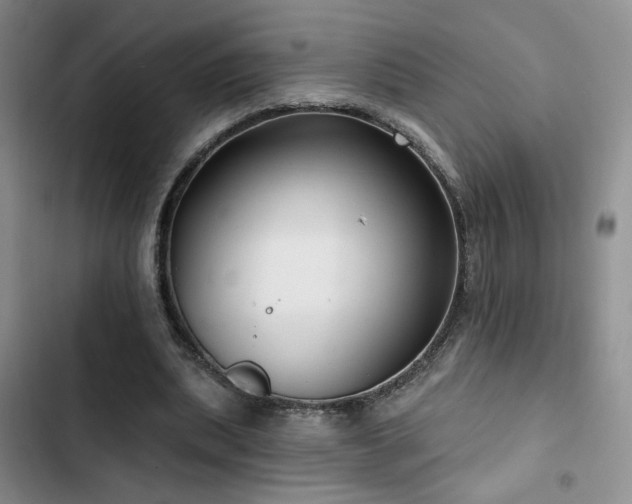 X0000102790439200808181304