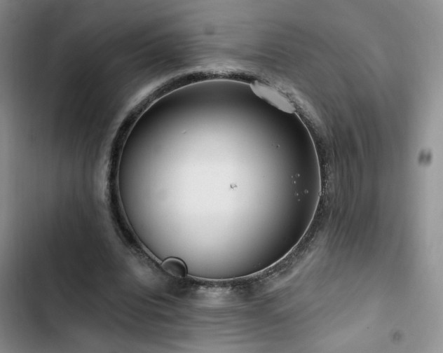 X0000102790440200808181304