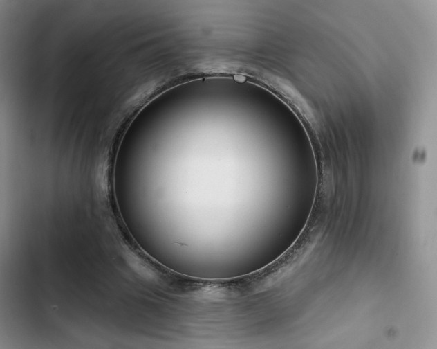 X0000102790441200808181304