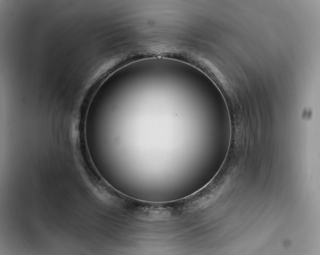 X0000102790443200808181304