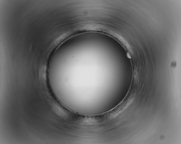 X0000102790445200808181304