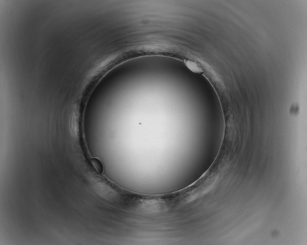 X0000102790446200808181304