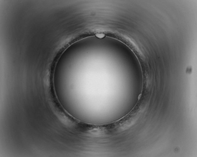 X0000102790447200808181304