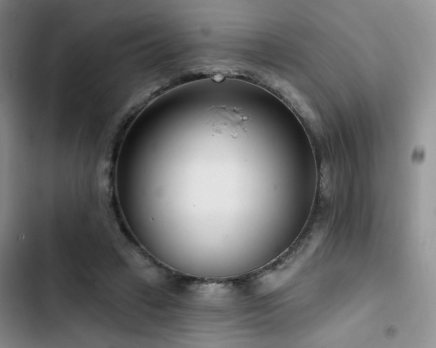 X0000102790449200808181304