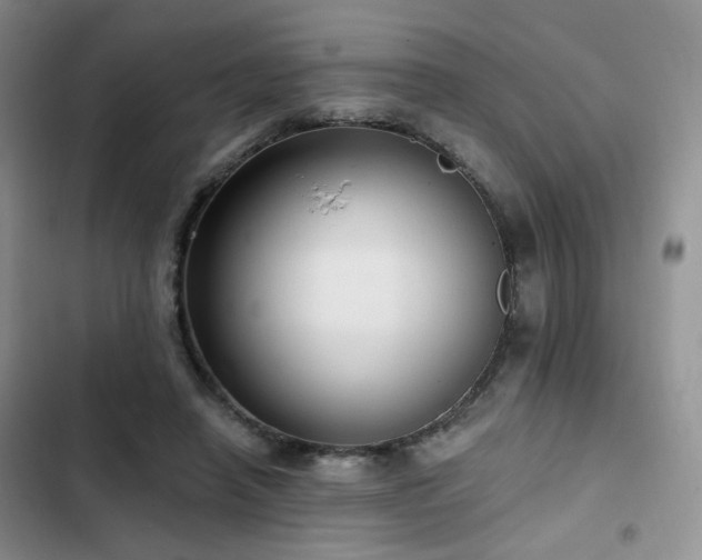 X0000102790450200808181304