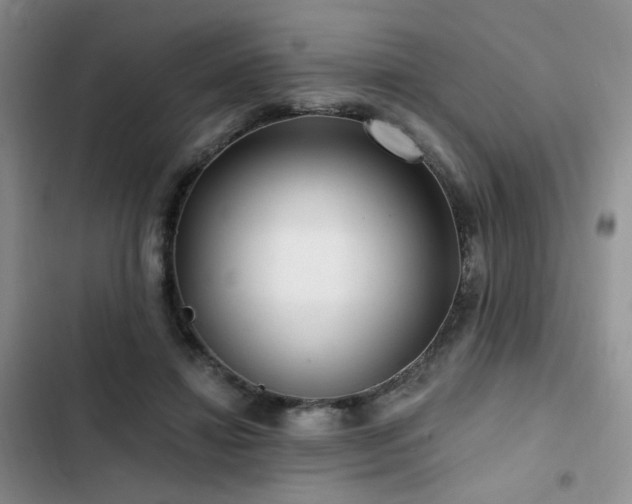 X0000102790452200808181304