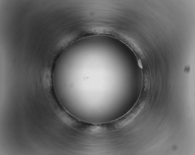 X0000102790453200808181304