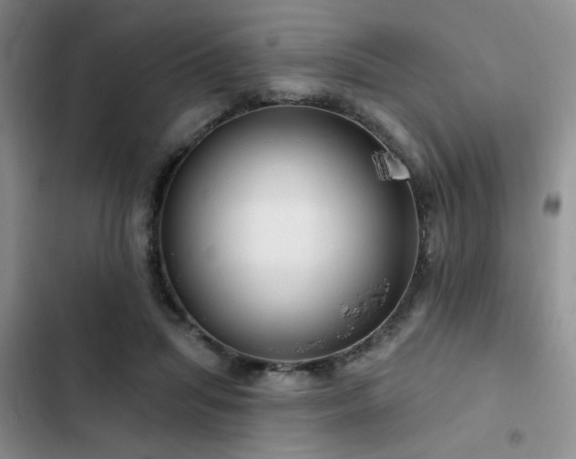 X0000102790455200808181304