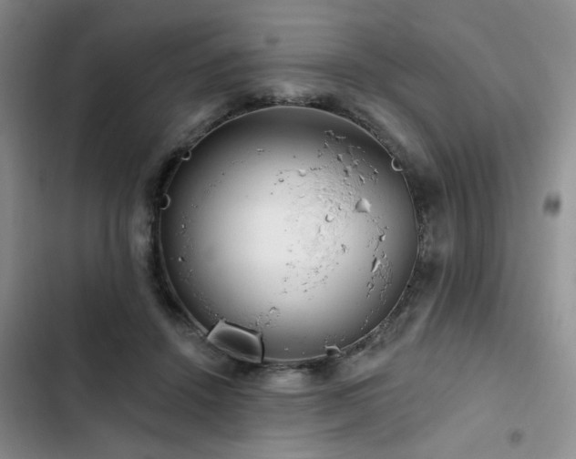 X0000102790456200808181304