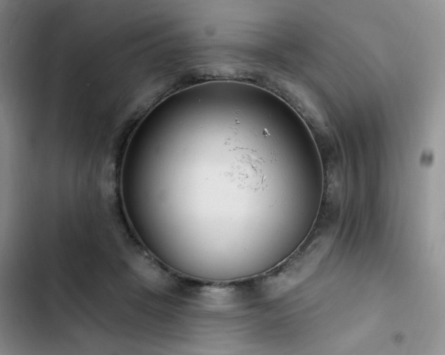 X0000102790457200808181304