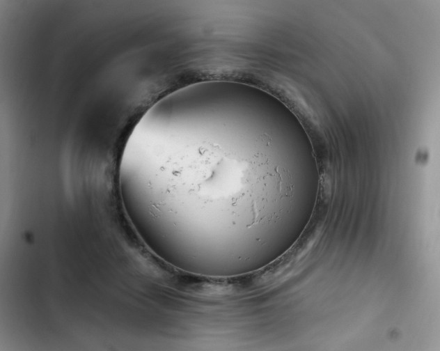 X0000102790458200808181304