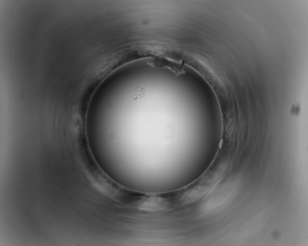 X0000102790459200808181304