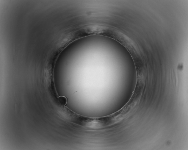 X0000102790460200808181304