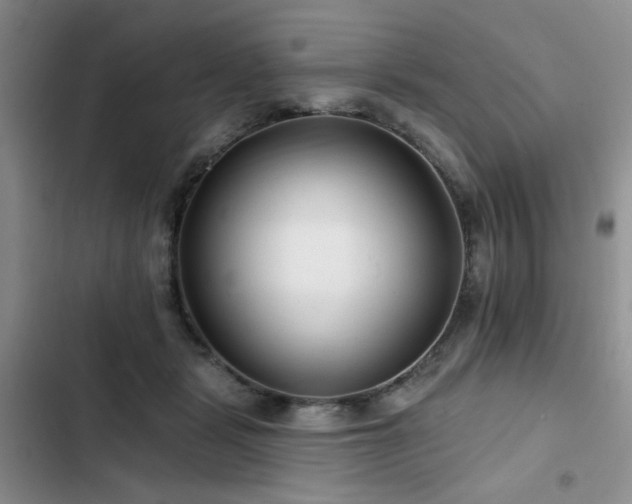 X0000102790461200808181304