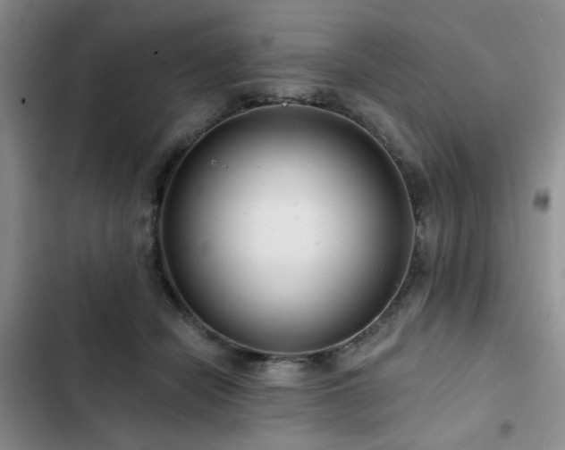 X0000102790462200808181304