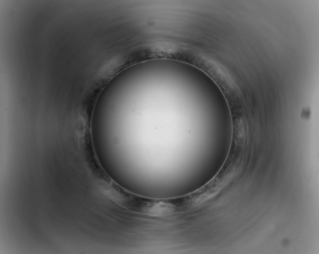 X0000102790463200808181304